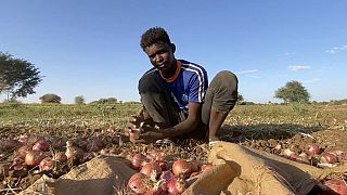 Sudan: Vendors, farmers suffer amid rising prices and fuel shortages