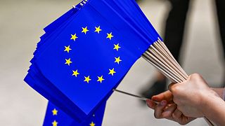 Europa wählt in knapp einem Jahr ein neues Parlament