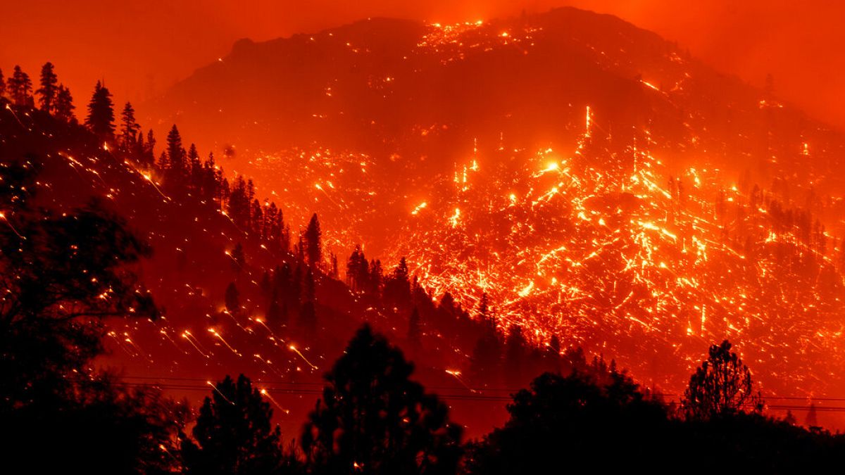 ABD'nin Kaliforniya eyaletinde orman yangını (arşiv) 