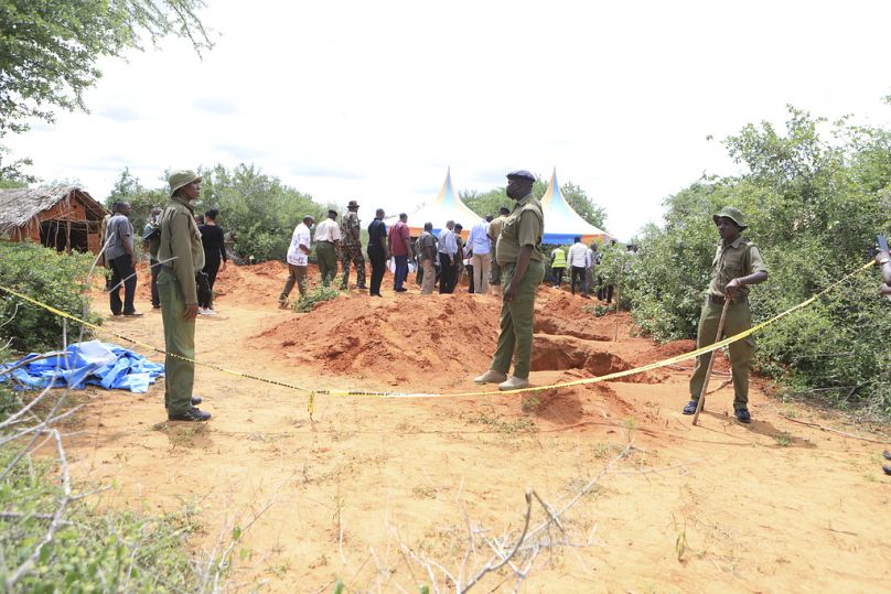Kenyalı müfettişler ormanda delil aramaya devam ediyor (arşiv)