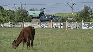 Train derailed in Crimea region.