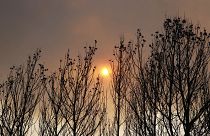 دخان الأشجار المحترقة يحجب أشعة الشمس خلال محاولة إخماد حريق في قرية بينيتاشيل بالقرب من فالنسيا الأسبانية. 2016/09/50