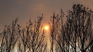 دخان الأشجار المحترقة يحجب أشعة الشمس خلال محاولة إخماد حريق في قرية بينيتاشيل بالقرب من فالنسيا الأسبانية. 2016/09/50