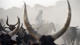 Tchad : 11 villageois tués dans une nouvelle razzia sur leur bétail