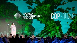 COP28 climate talks are due to take place in Dubai, United Arab Emirates later this year.