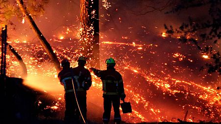 Firefighters battle a large fire at Chiberta forest in Anglet, southwestern France, Thursday, July 30, 2020. 