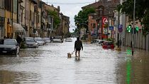 A man walks his dog through a flooded street in the village of Castel Bolognese, Italy.