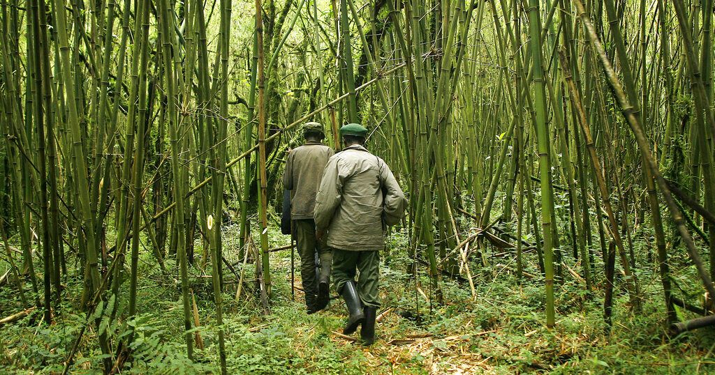 DRC: 4 dead in militia attack near Virunga Park