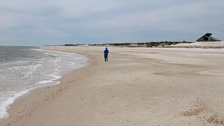 Miles of empty beach and billions of sea shells await a lone beachcomber at St. George Island State Park near Apalachicola in the Florida Panhandle.