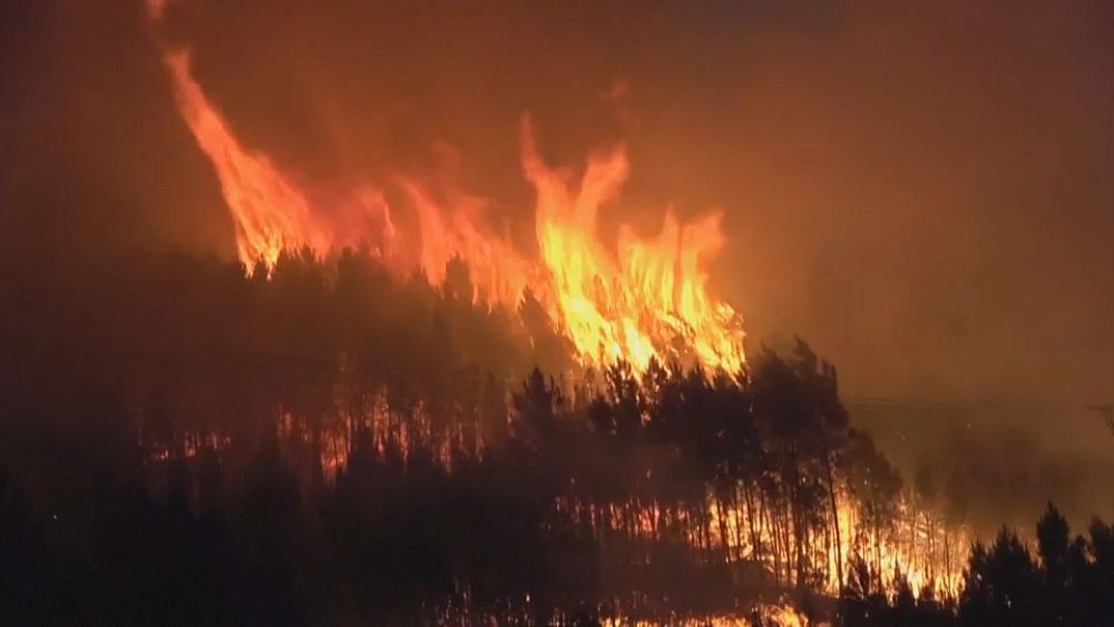 VÍDEO: Fuera de control: Un incendio forestal arrasa la región española de Extremadura