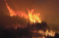 Лесной пожар в Испании