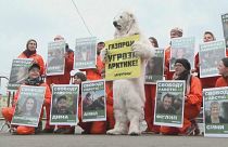 أنصار غرينبيس يحتجون لدعم 30 ناشطاً سجنتهم روسيا بعد احتجاج على التنقيب عن النفط في القطب الشمالي في 2013  واحتجاجات على أسر 100 حوت في 2019 .