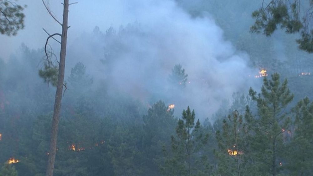 Incendio forestal en el oeste de España: 700 personas tuvieron que ser rescatadas