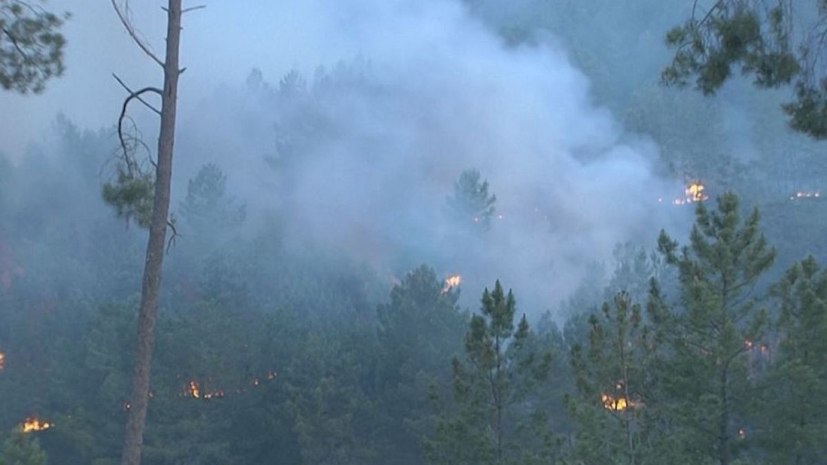Waldbrand in der spanischen Provinz Cáceres