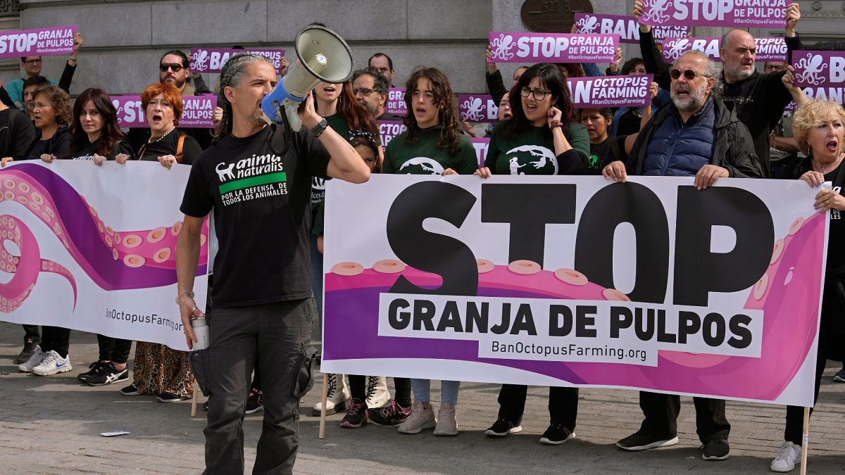 Animal rights activists gather to protest outside the Agriculture Ministry in Madrid, Spain, 21 May 2023. 