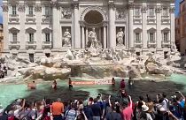 Rome's iconic Trevi fountain was dyed black on Sunday by climate activists