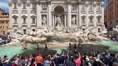 Rome's iconic Trevi fountain was dyed black on Sunday by climate activists