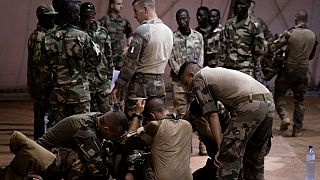 Légion étrangère et paras nigériens à l'assaut du Liptako, face au Mali