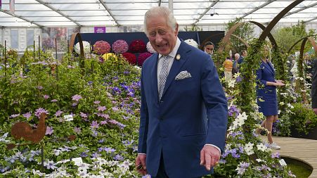 King of flowers - Charles at Chelsea flower show