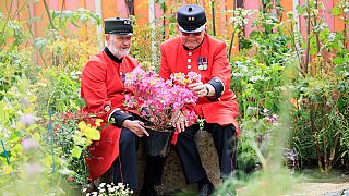 Chelsea Pensioners Billy Knowles and Archie Ferguson at the Flower Show