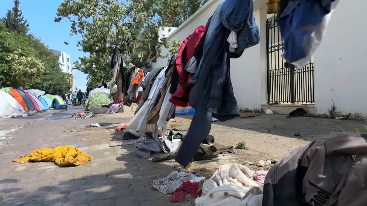 Crisis migratoria en el Mediterráneo de Túnez a Italia, ¿Quiénes son