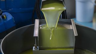 South Africa enters the luxury olive oil market