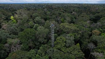 Workers appear on a tower that will be part of a complex of towers arrayed in six rings to spray carbon dioxide into the rainforest north of Manaus, Brazil.