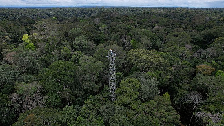 Brazil is building an Amazon CO2 monitor