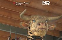 Minotaurus in Toulouse / screenshot