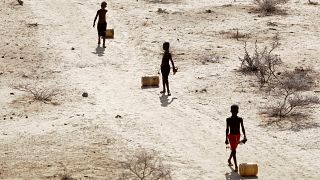 قالت الأمم المتحدة إن أكثر من 43 مليون شخص في أنحاء الصومال وإثيوبيا وكينيا بحاجة ماسة للمساعدة المنقذة والمحافظة على الحياة.