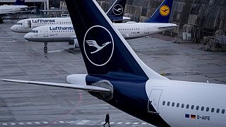 Aviones de Lufthansa. 