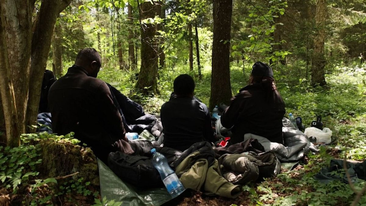 Нелегальные мигранты в лесу в Польше