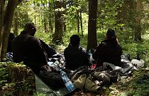 Un groupe de réfugiés dans une forêt en Pologne, près de la frontière avec le Bélarus.