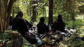 Ein Gruppe Migranten in den Wäldern der polnisch-belarussischen Grenzregion