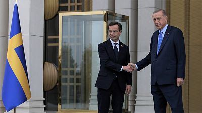 Le président turc Recep Tayyip Erdogan, à droite, et le Premier ministre suédois, Ulf Kristersson, à Ankara, en Turquie, le 8 novembre 2022.