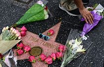 Fan leave flowers on Tina Turner's Walk of Fame star on Hollywood Boulavard  