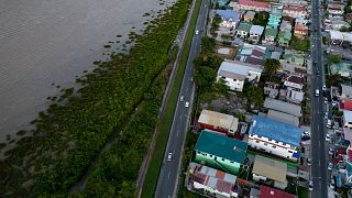نمایی از جنگل های ساحلی در کنار دیواره دریا در جورج تاون، گویان، چهارشنبه، ۱۹ آوریل ۲۰۲۳