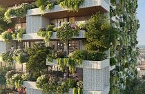 300 trees and 10,000 plants are being added to Europe’s latest vertical forest in Utrecht.