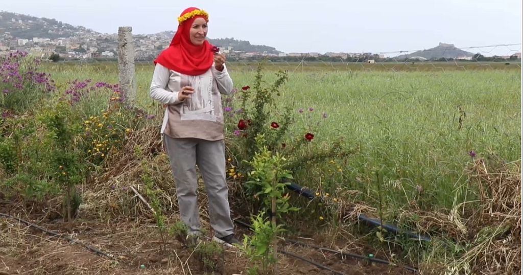 Tunisian entrepreneur Sonia Ibidhi wants to conquer the edible flowers market | Africanews Tunisian entrepreneur Sonia Ibidhi wants to conquer the edible flowers market | Africanews