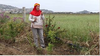 Tunisian entrepreneur Sonia Ibidhi wants to conquer the edible flowers market