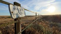 La grave sequía en el Parque Nacional de Doñana obliga a los arroceros a dejar de sembrar