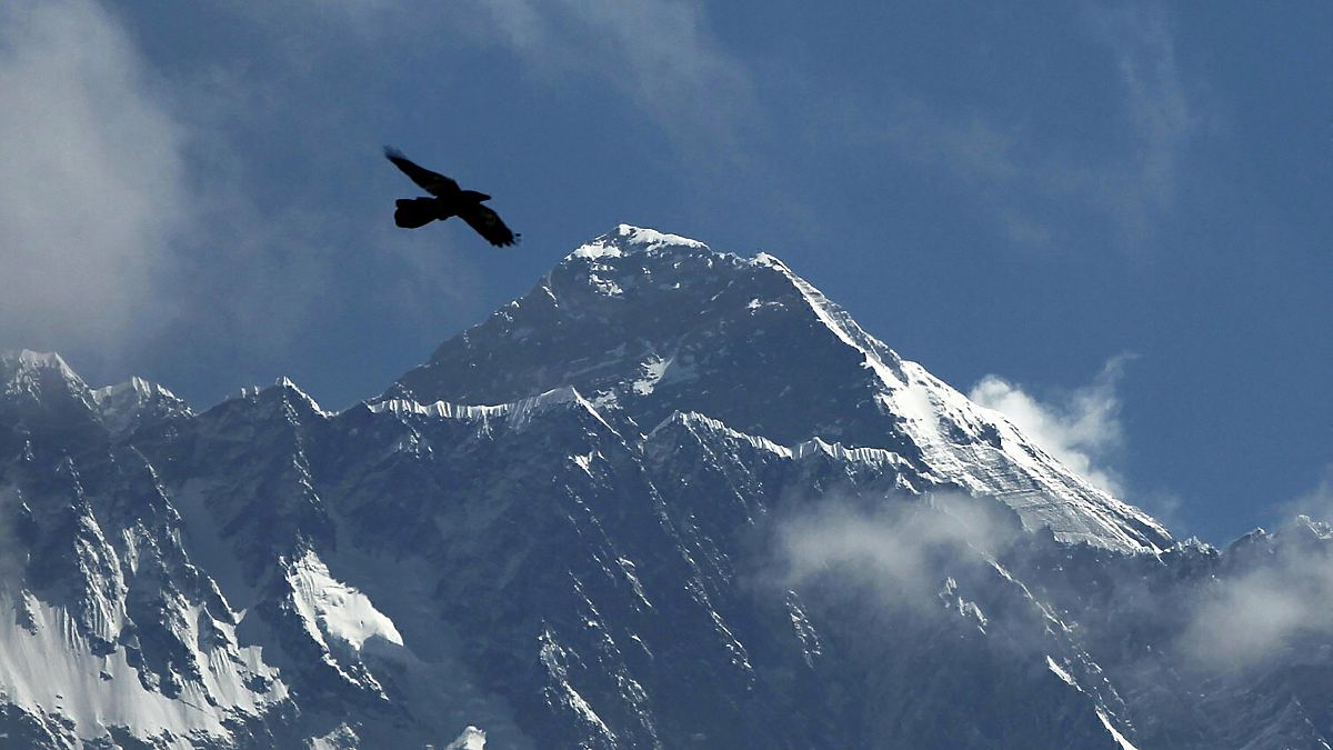 Madár repül a nepáli égbolton, a háttérben a Mount Everest csúcsával
