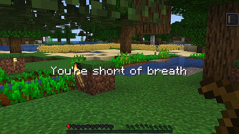 Long COVID symptoms showing up in 'Minecraft'