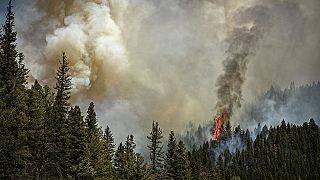 Orman yangınlarından kaynaklanan duman insan sağlığı için tehlikeli olabilir