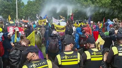 Демонстрация экоактивистов в Гааге