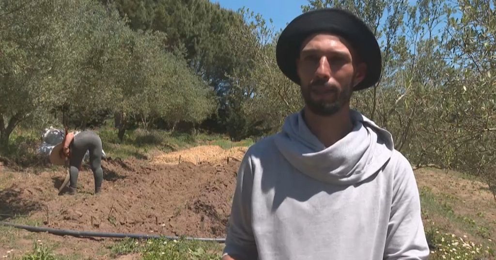Permaculture opens new opportunities for Tunisian farmers