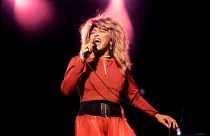 An icon for the ages - Tina Turner performing in Illionois, 1987