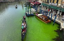 مياه البندقية تتلون بالأخضر الفوسفوري