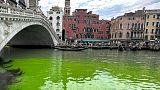 Venedik'teki Büyük Kanal'da bilinmeyen bir sebeple sular yeşile döndü