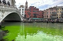 Venedik'teki Büyük Kanal'da bilinmeyen bir sebeple sular yeşile döndü